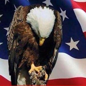 Meet your Posher, Dale